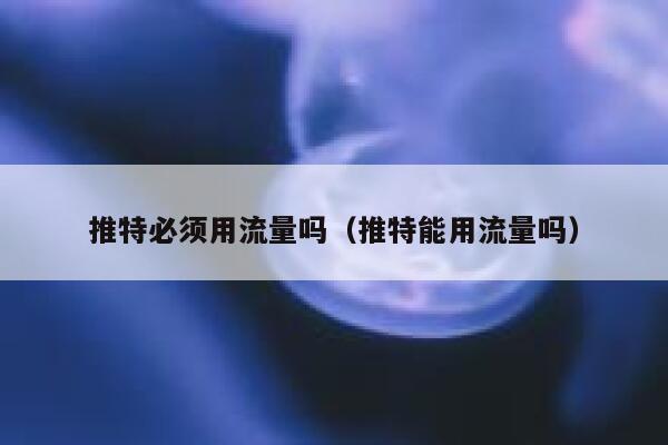 推特必须用流量吗（推特能用流量吗） 第1张