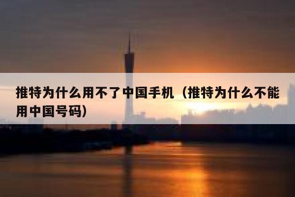 推特为什么用不了中国手机（推特为什么不能用中国号码） 第1张