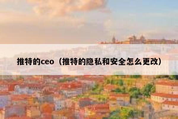 推特的ceo（推特的隐私和安全怎么更改） 第1张
