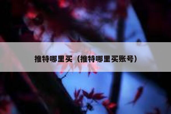 推特哪里买（推特哪里买账号） 第1张