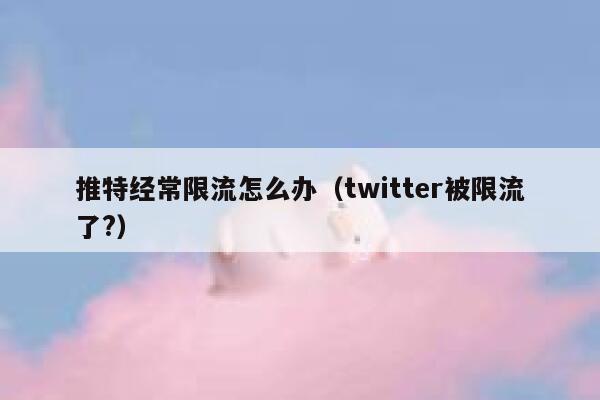 推特经常限流怎么办（twitter被限流了?） 第1张