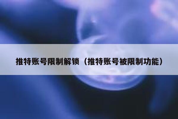 推特账号限制解锁（推特账号被限制功能） 第1张