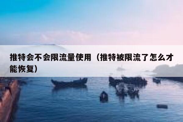推特会不会限流量使用(推特被限流了怎么才能恢复) 第1张 推特会不会限流量使用(推特被限流了怎么才能恢复) 第1张