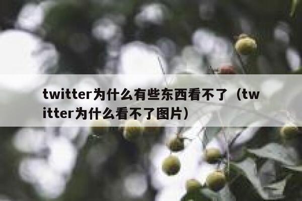 twitter为什么有些东西看不了（twitter为什么看不了图片） 第1张