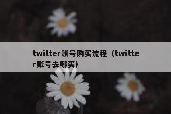 twitter账号购买流程(twitter账号去哪买) 第1张 twitter账号购买流程(twitter账号去哪买) 第1张