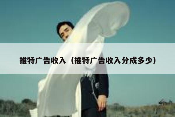 推特广告收入（推特广告收入分成多少） 第1张
