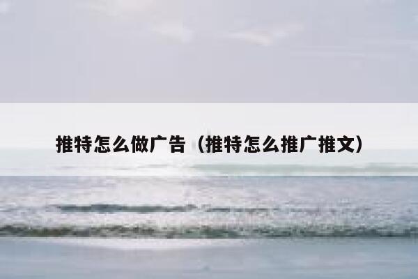 推特怎么做广告（推特怎么推广推文） 第1张