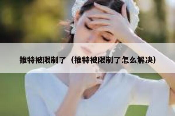推特被限制了（推特被限制了怎么解决） 第1张