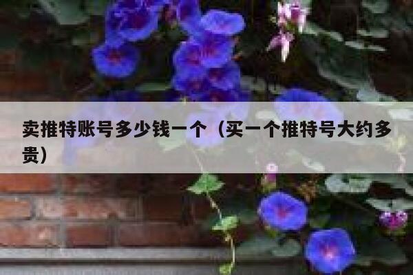 卖推特账号多少钱一个(买一个推特号大约多贵) 第1张 卖推特账号多少钱一个(买一个推特号大约多贵) 第1张
