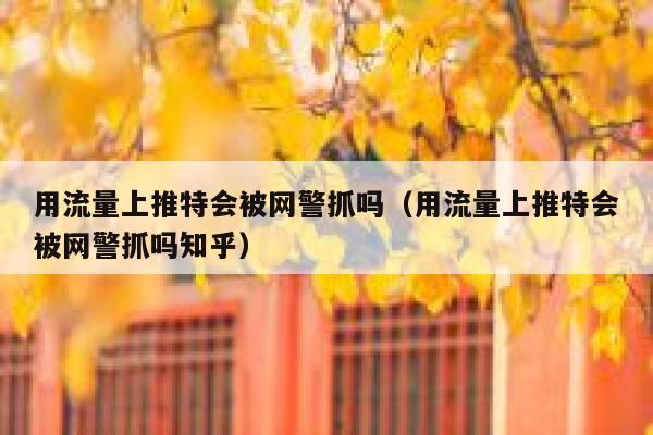 用流量上推特会被网警抓吗（用流量上推特会被网警抓吗知乎） 第1张