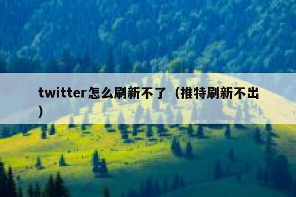twitter怎么刷新不了(推特刷新不出) 第1张 twitter怎么刷新不了(推特刷新不出) 第1张