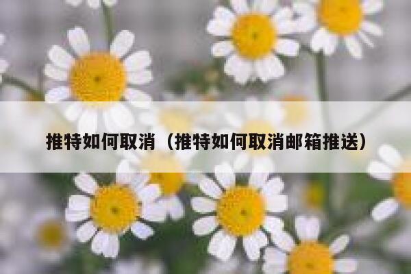 推特如何取消（推特如何取消邮箱推送） 第1张