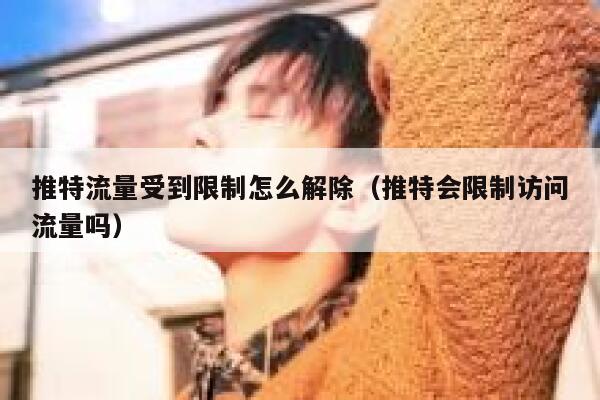 推特流量受到限制怎么解除（推特会限制访问流量吗） 第1张