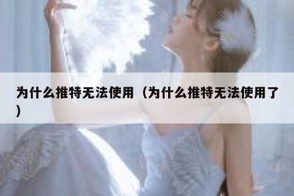 为什么推特无法使用（为什么推特无法使用了） 第1张