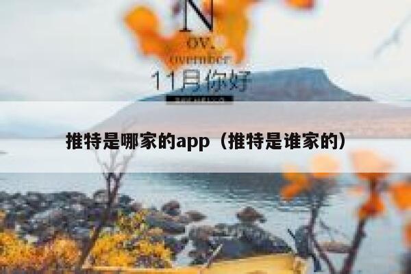 推特是哪家的app（推特是谁家的） 第1张