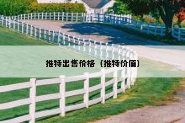 推特出售价格（推特价值） 第1张