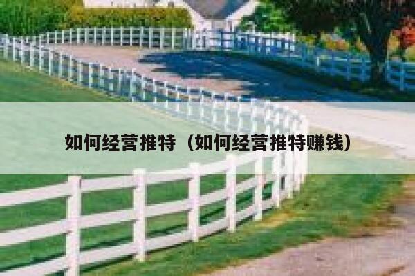 如何经营推特(如何经营推特赚钱) 第1张 如何经营推特(如何经营推特赚钱) 第1张