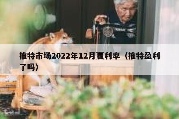 推特市场2022年12月赢利率（推特盈利了吗） 第1张