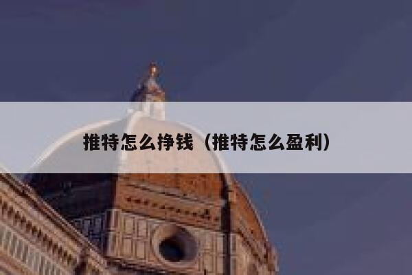 推特怎么挣钱（推特怎么盈利） 第1张