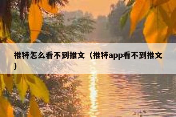 推特怎么看不到推文（推特app看不到推文） 第1张