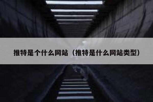 推特是个什么网站（推特是什么网站类型） 第1张