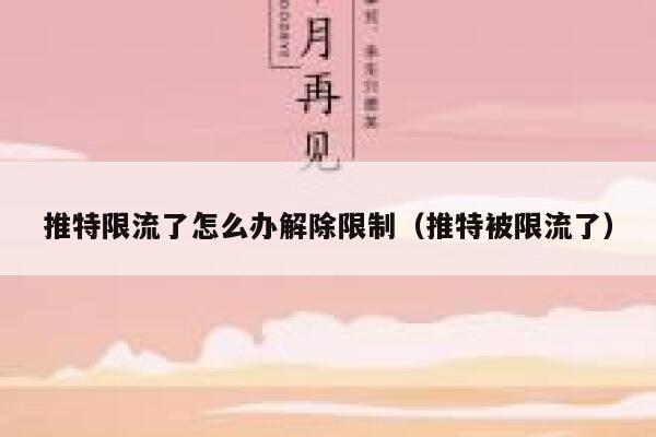推特限流了怎么办解除限制(推特被限流了) 第1张 推特限流了怎么办解除限制(推特被限流了) 第1张