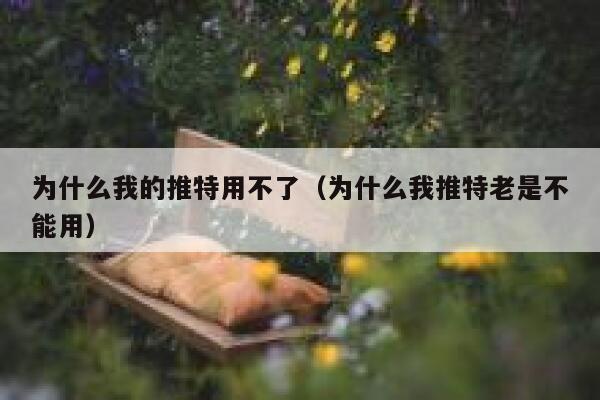 为什么我的推特用不了(为什么我推特老是不能用) 第1张 为什么我的推特用不了(为什么我推特老是不能用) 第1张