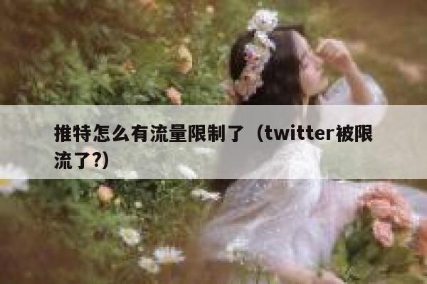 推特怎么有流量限制了(twitter被限流了?) 第1张 推特怎么有流量限制了(twitter被限流了?) 第1张