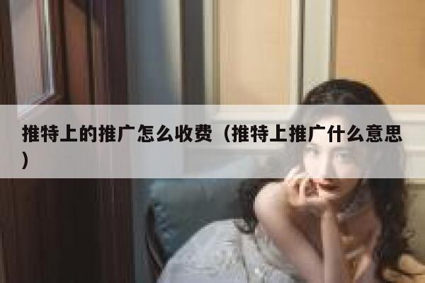 推特上的推广怎么收费(推特上推广什么意思) 第1张 推特上的推广怎么收费(推特上推广什么意思) 第1张