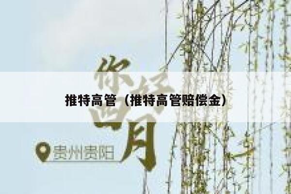 推特高管(推特高管赔偿金) 第1张 推特高管(推特高管赔偿金) 第1张
