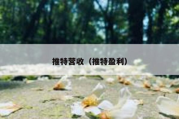 推特营收（推特盈利） 第1张