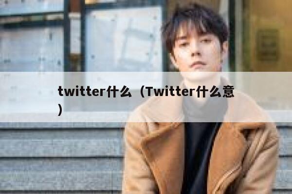 twitter什么(Twitter什么意) 第1张 twitter什么(Twitter什么意) 第1张