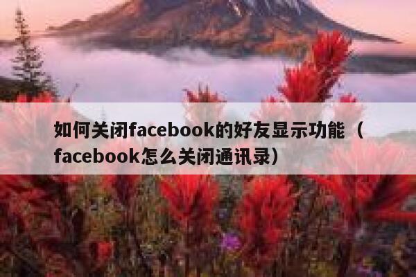 如何关闭facebook的好友显示功能(facebook怎么关闭通讯录) 第1张 如何关闭facebook的好友显示功能(facebook怎么关闭通讯录) 第1张