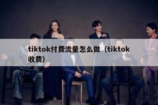 tiktok付费流量怎么做（tiktok收费） 第1张