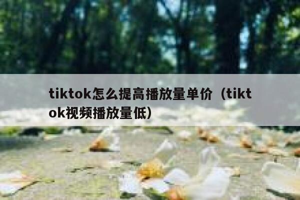 tiktok怎么提高播放量单价（tiktok视频播放量低） 第1张