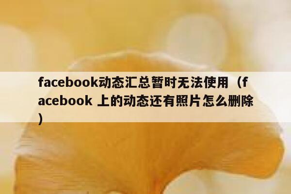 facebook动态汇总暂时无法使用（facebook 上的动态还有照片怎么删除） 第1张