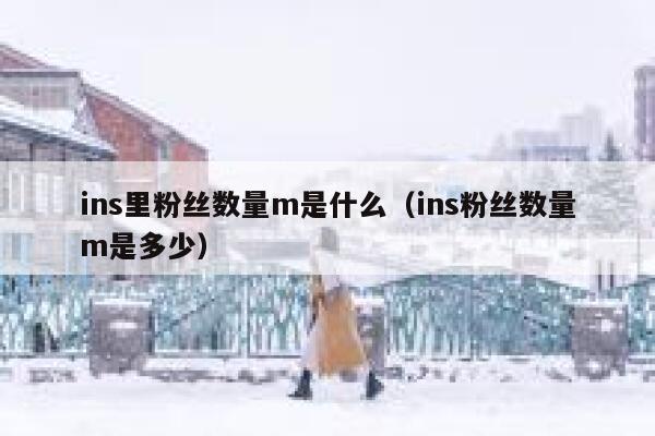 ins里粉丝数量m是什么(ins粉丝数量m是多少) 第1张 ins里粉丝数量m是什么(ins粉丝数量m是多少) 第1张