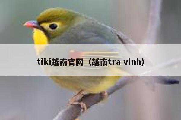 tiki越南官网（越南tra vinh） 第1张