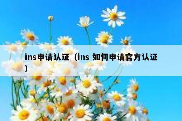 ins申请认证(ins 如何申请官方认证) 第1张 ins申请认证(ins 如何申请官方认证) 第1张