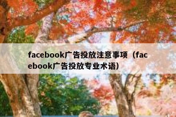 facebook广告投放注意事项(facebook广告投放专业术语) 第1张 facebook广告投放注意事项(facebook广告投放专业术语) 第1张