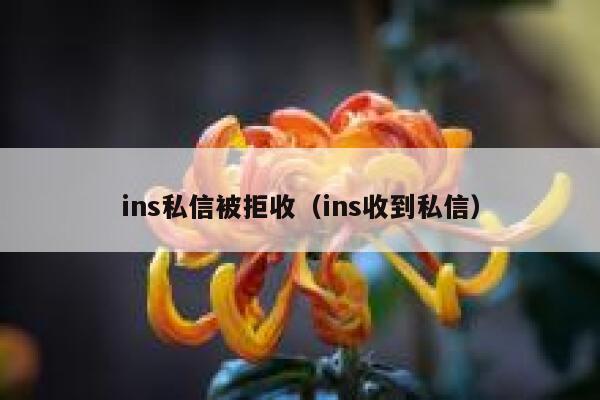 ins私信被拒收(ins收到私信) 第1张 ins私信被拒收(ins收到私信) 第1张