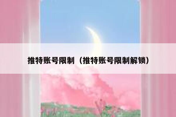 推特账号限制(推特账号限制解锁) 第1张 推特账号限制(推特账号限制解锁) 第1张