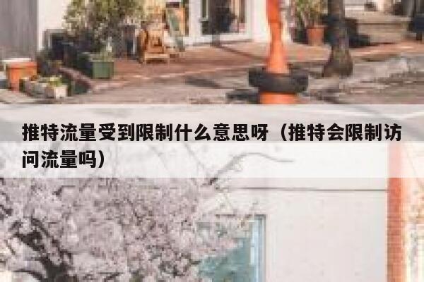 推特流量受到限制什么意思呀(推特会限制访问流量吗) 第1张 推特流量受到限制什么意思呀(推特会限制访问流量吗) 第1张
