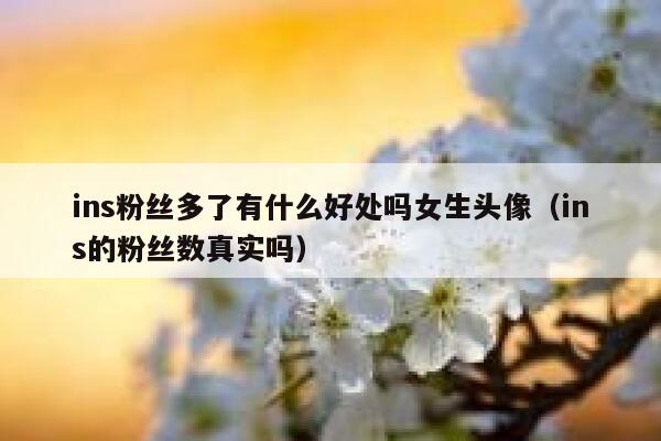 ins粉丝多了有什么好处吗女生头像（ins的粉丝数真实吗） 第1张