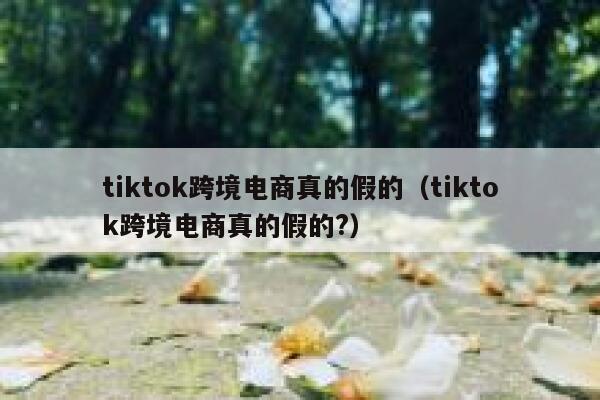 tiktok跨境电商真的假的（tiktok跨境电商真的假的?） 第1张