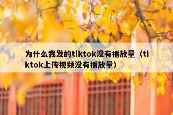 为什么我发的tiktok没有播放量（tiktok上传视频没有播放量） 第1张