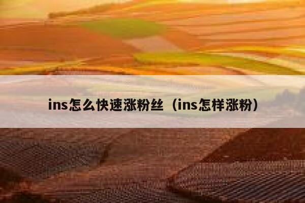 ins怎么快速涨粉丝（ins怎样涨粉） 第1张