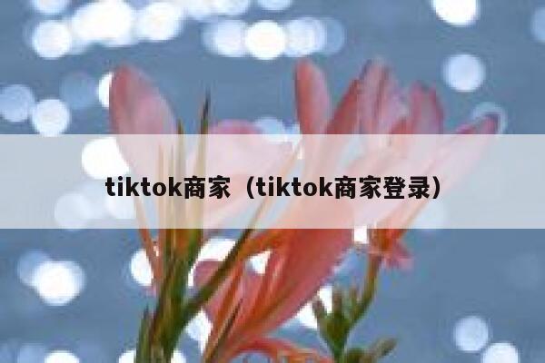 tiktok商家(tiktok商家登录) 第1张 tiktok商家(tiktok商家登录) 第1张