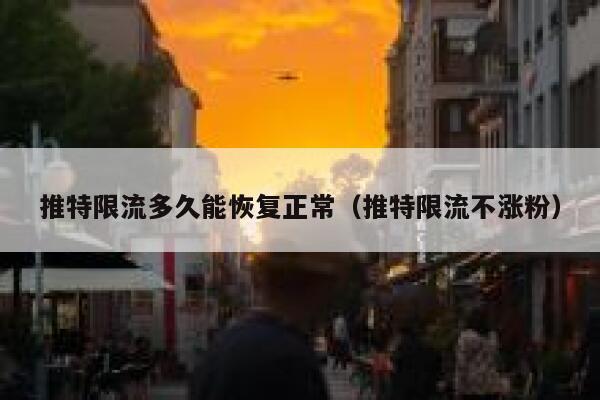 推特限流多久能恢复正常(推特限流不涨粉) 第1张 推特限流多久能恢复正常(推特限流不涨粉) 第1张