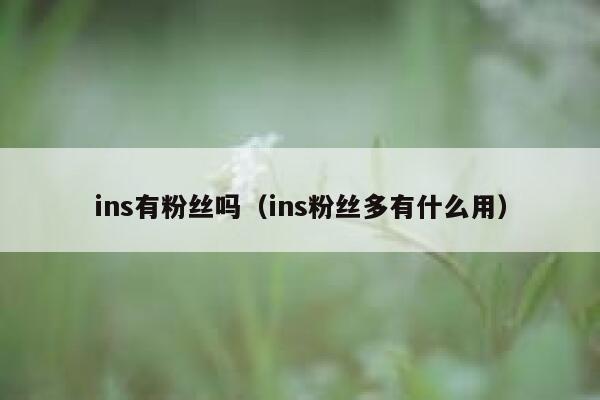 ins有粉丝吗(ins粉丝多有什么用) 第1张 ins有粉丝吗(ins粉丝多有什么用) 第1张